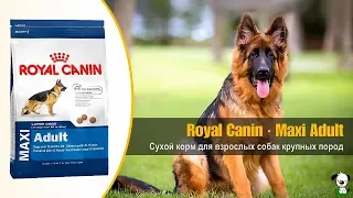 Сухой корм для взрослых собак крупных пород · Royal Canin Maxi Adult
