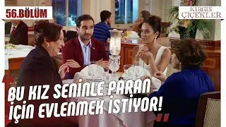 Yeni damat adayı! - Kırgın Çiçekler 56.Bölüm