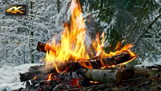 Winter Forest Campfire ❄️ Real Sounds & Relax Mood (Xmas)🎄