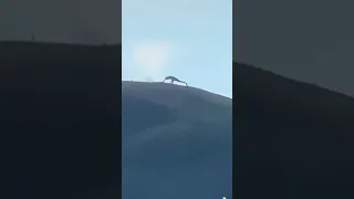 Slender Giant Filmed Doing Push-Ups on Mountain!