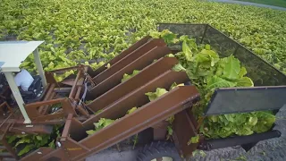 Tobacco Harvester Repair