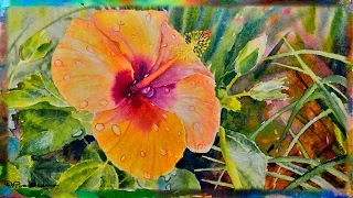 How to Paint the Orange Hibiscus Flower in Watercolor, Part 2