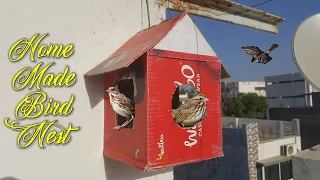 How to make bird nest | Home made nest from cardboard | Cardboard Crafts |