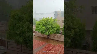 Rain Video | Rain Status | WhatsApp status | Barish status | #barishstatus #shortvideo #shorts #rain