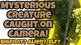 mysterious creature caught on camera! alien sighting elf cryptid creepy video Duwende picture duende