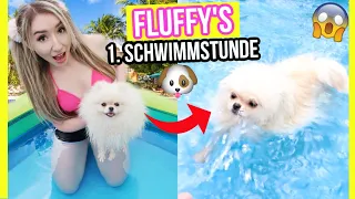 Fluffy's 🏊‍♂️ 1. SCHWIMMSTUNDE im Pool **HUND geht SCHWIMMEN CHALLENGE**