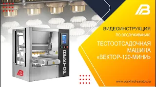 Видеоинструкция по обслуживанию тестоотсадочной машины «Вектор 120 мини»