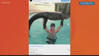 This Florida man jumped into a swimming pool to rescue an alligator