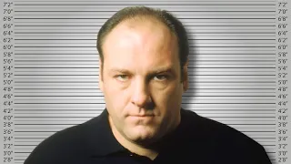 If Tony Soprano Was Charged For His Crimes