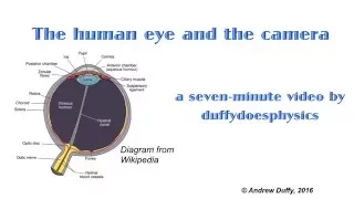 The human eye and the camera