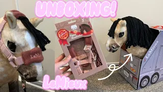 Unboxing *New* LeMieux toy pony Dream! AKA Blossom & Pink Quartz halter! 💖🐴