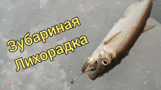 Зубариная лихорадка. Рыбалка на корюшку. Сахалинская рыбалка & Sakhalin fishing