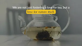 Journey from Plantation to Your Tea Cup | Tea Plantation Video | Tea Leaf & Co.