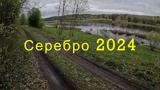 Серебро 2024. День монет и серебра