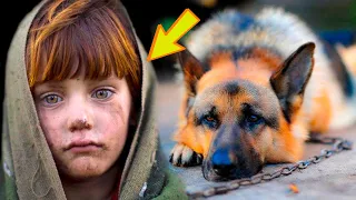 Niesamowita historia psa, który uratował dziewczynkę kosztem swojego życia
