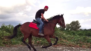 Dört Nala At Binmek / Eşime At Binmeyi Öğrettim :)