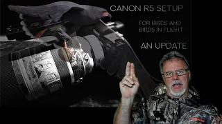 Canon R5 Set Up - Birds and Birds in Flight an Update