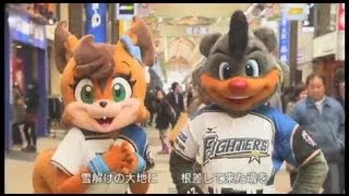 北海道日本ハムファイターズ「10th SEASON プロジェクト」テーマ曲「ファイターズと共に」ミュージックビデオ（ファイターズ ver.）