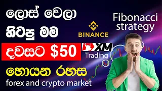 $50 per day Binance Fibonacci retracement Strategy | SMC Trading Sinhala | xm