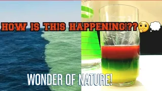Why Atlantic and Pacific Oceans do not mix | DIY Density Experiment |