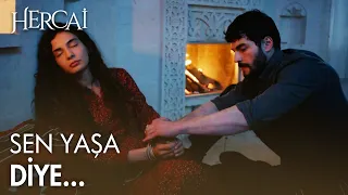 Miran, Reyyan'ın bağını çözdü - Hercai Efsane Sahneler