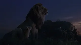 Father and son precious moment clip ( 4K  Ultra HD)☆ The Lion King 2019