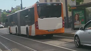 Bus Linie 75 der Rhein-neckar-verkehr in Pfalzbau