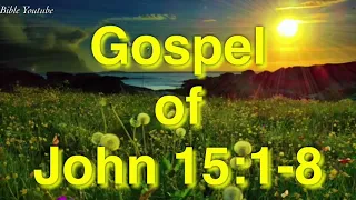 Gospel of John 15:1-8 daily mass reading Bible Youtube 22/05/2019
