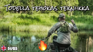 FLY FISHING FOR BROOK TROUT WITH A FINNISH FLY FISHING NATIONAL TEAM MEMBER | Use these techniques!