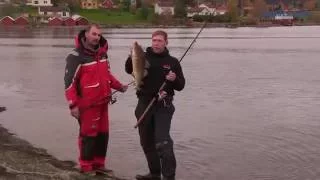 Cod Fishing Norway