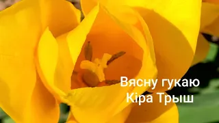 Вясну гукаю Кіра Трыш