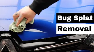 Safely remove bug splat and bird droppings