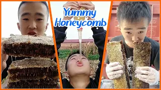 ABS Honey BEE | Best HoneyComb Eating ASMR | Honey Eating Show 🎖️34