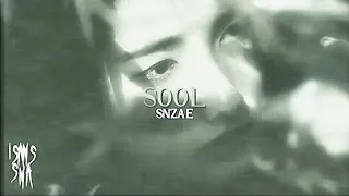 snzae - sool // slowed & reverb