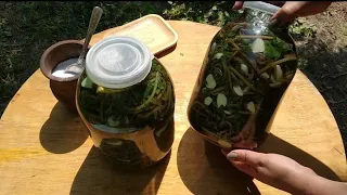 A healthy and very tasty snack. How to pickle purslane