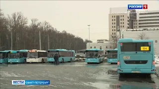 В Петербурге на линии выходят новые социальные автобусы