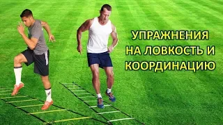 Упражнения на ловкость и координацию / Exercises in agility and coordination