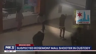 Suspected Rosemont mall shooter in custody: police