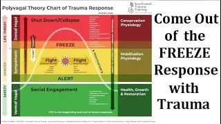 How to Come Out of Freeze Response in Trauma: Polyvagal Theory & Somatic Experiencing