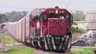 Dos trenes automotricez de FXE super largos atravezando el crucero mas peligroso de Altamira!