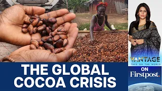 Chocolate to Get More Expensive? Why Are Cocoa Prices Breaking Records? |Vantage with Palki Sharma