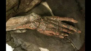 The Tarim Mummies