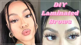 Natural Feathery Laminated Brows Using Eyelash Glue | Just Nicole