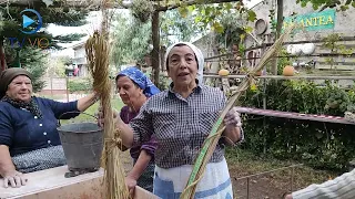 Zungri - La Giornata del Pane - n 5