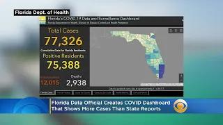 Florida Data Official Rebekah Jones Creates COVID Dashboard That Shows More Cases Than State Reports