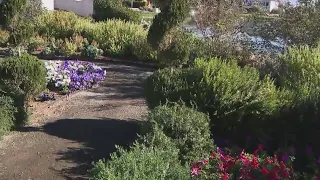 Queen Creek Botanical Garden is much more than a garden, but an entire experience