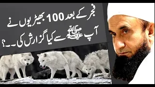 100 Wolves Request to Prophet Muhammad (PBUH) - Maulana Tariq Jameel