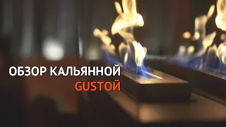 ТК - Кальянная Gusтой - Оазис в центре мегаполиса