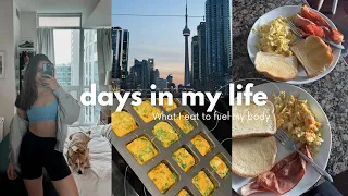 DAYS IN MY LIFE: what I eat to fuel my body + zone 2 training | Vlog