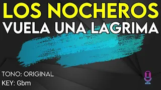 Los Nocheros - Vuela Una Lágrima - Karaoke Instrumental